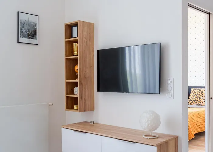 Hyper Centre Vue Bords Loire #confort #luxe Apartment Tours